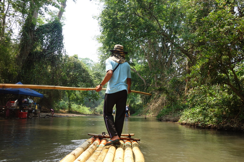 Person on bamboo raft paddling through a lush green forest river scene at Rafting in Mae Wang.