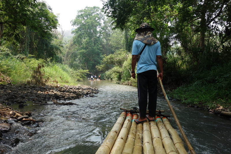 Person standing on a bamboo raft navigating through a forested river at Bamboo Rafting in Mae Wang.