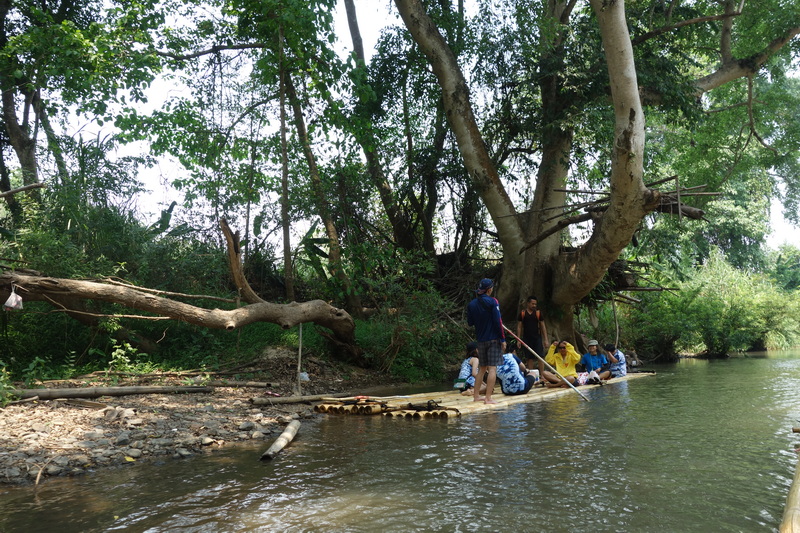 People relaxing on a bamboo raft alongside a large tree by the river at Rafting in Mae Wang.