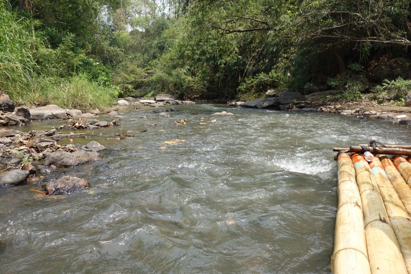 Bamboo raft on a river with flowing water and green forest surrounding it at Bamboo Rafting in Mae Wang.