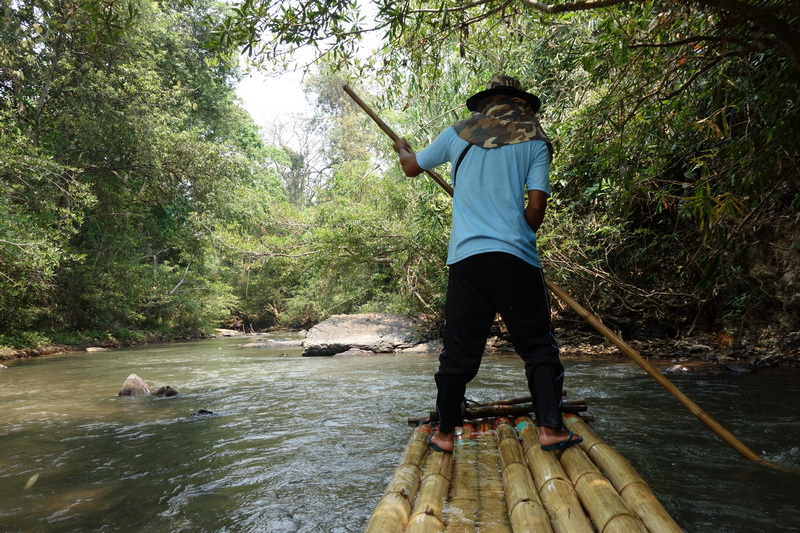 Person standing on bamboo raft paddling through a lush forest river at Rafting in Mae Wang.