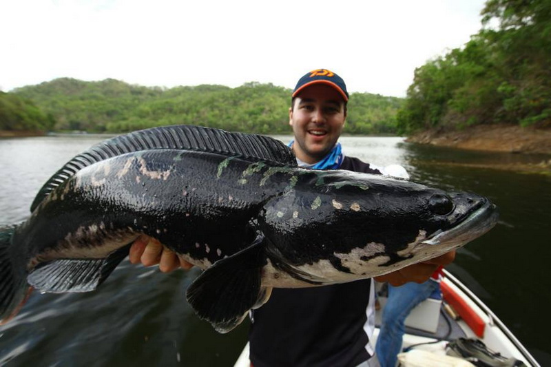 Man holding a large fish on a boat in a river surrounded by trees at Chiang Mai Fishing Park.