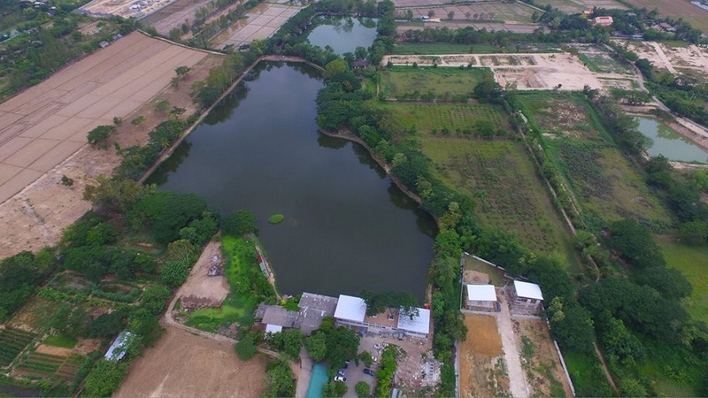 Aerial View of Lake and Fields at Chiang Mai Fishing Park Aerial shot of a lake with surrounding greenery and farmland at Chiang Mai Fishing Park.