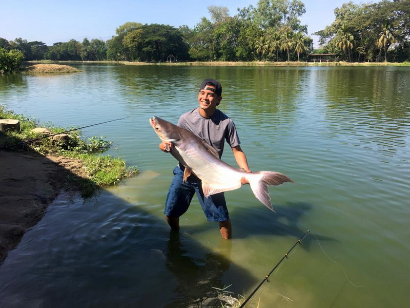 Young man holding a large fish in a lake with trees and clear sky in the background at Chiang Mai Fishing Park.