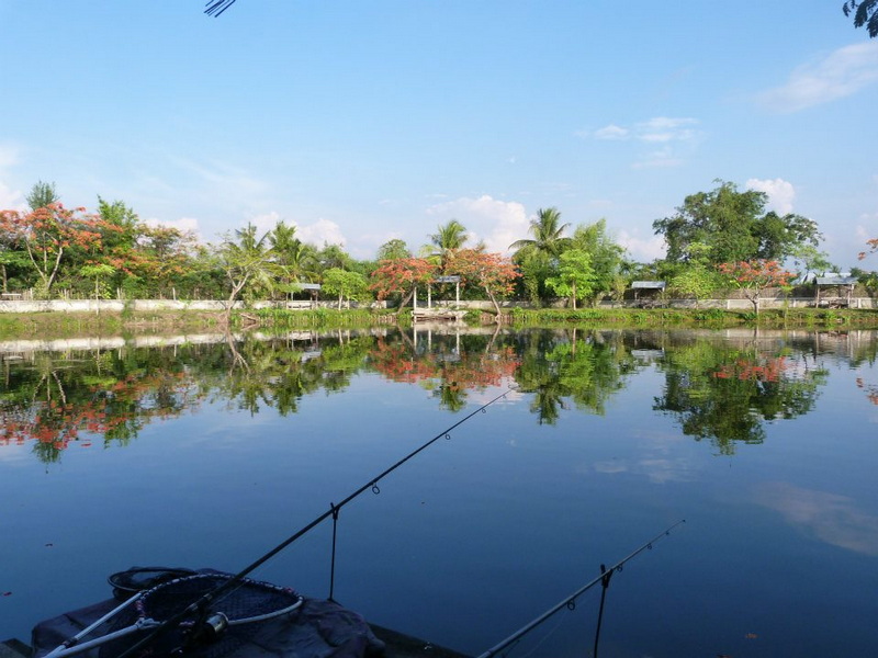 Serene Fishing Scene at Chiang Mai Fishing Fishing rods over still water with trees and sky reflected in the surface at Chiang Mai Fishing.
