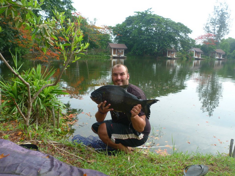 Man holding a large fish near a pond with trees and small houses reflected in water at Chiang Mai Fishing.