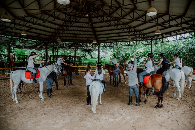 Horse Riding in Chiang Mai at Horse Riding Chiang Mai People riding horses inside a covered riding area surrounded by trees at Horse Riding Chiang Mai.