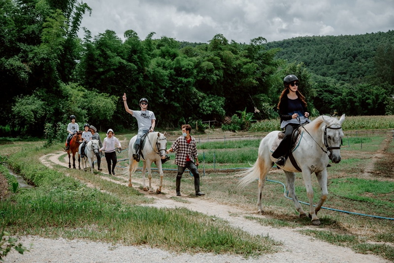Horse Riding Adventure in Nature at Horse Riding Chiang Mai People riding horses on a forest trail surrounded by mountains and greenery at Horse Riding Chiang Mai.