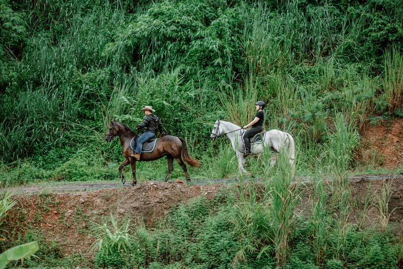 Horse Riding Adventure at Horse Riding Chiang Mai Two riders on horses traveling through a lush, green forest trail at Horse Riding Chiang Mai.