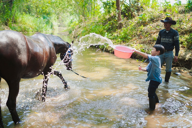 Boy splashing water on a horse in a shallow stream with a man nearby in the woods at Horse Riding Chiang Mai.