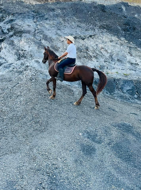 Person riding a horse on a rocky trail with cliffs in the background at Horse Riding Chiang Mai.