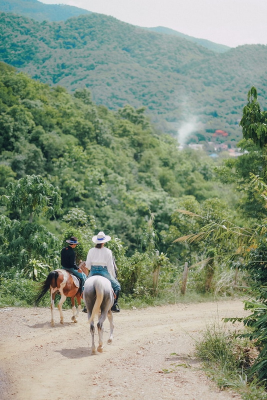 Two people riding horses along a dirt trail through lush greenery and mountains in background at Horse Riding Chiang Mai.
