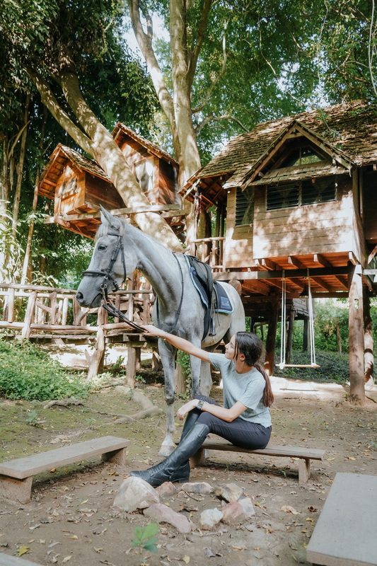 Woman petting a gray horse during daytime in a wooded area with treehouses at Horse Riding Chiang Mai.