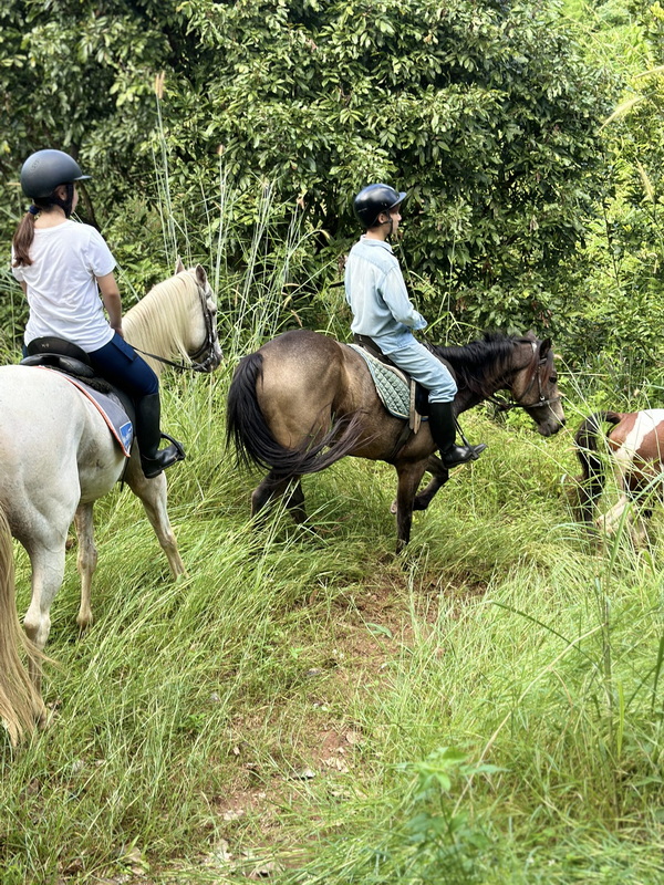 Horse Riding in Forest at Horse Riding Chiang Mai Two riders on horses moving through a lush, green forest trail at Horse Riding Chiang Mai.