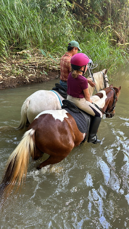 Horse Riding Through Nature at Horse Riding Chiang Mai Two riders on horses crossing a stream amidst lush greenery at Horse Riding Chiang Mai.