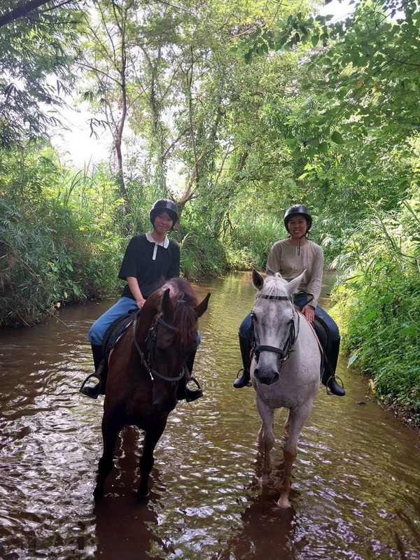 Two riders on horses walking through a shallow forest stream surrounded by lush greenery at Horse Riding Chiang Mai.