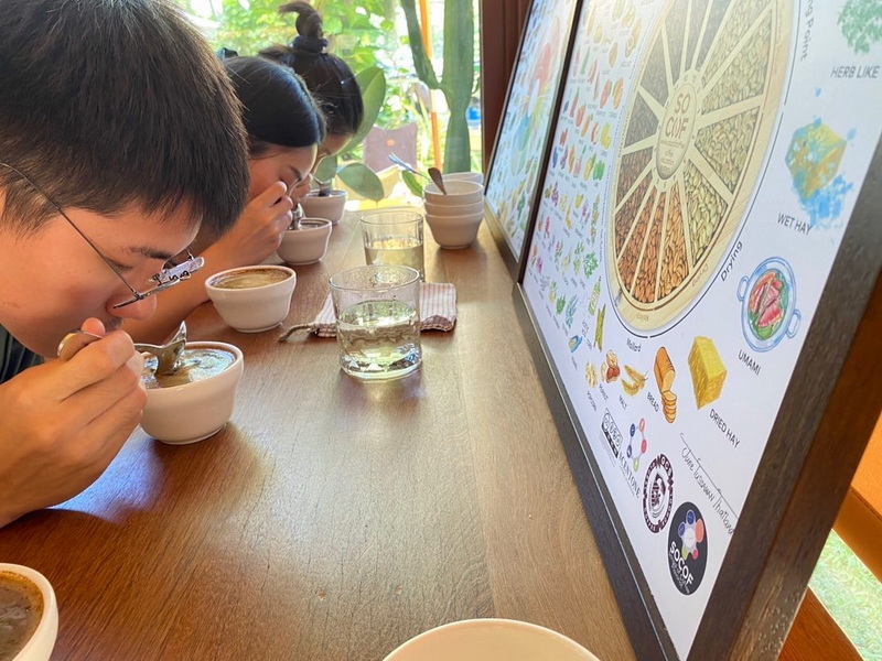 Three individuals tasting coffee samples with a colorful coffee diagram in the background at Chiang Mai Budget Tour.