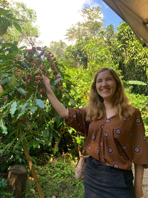 Coffee Plant Tour Experience at Chiang Mai Coffee Farm Tour A woman smiling and pointing at ripe coffee cherries on bush in farm at Chiang Mai Coffee Farm Tour.