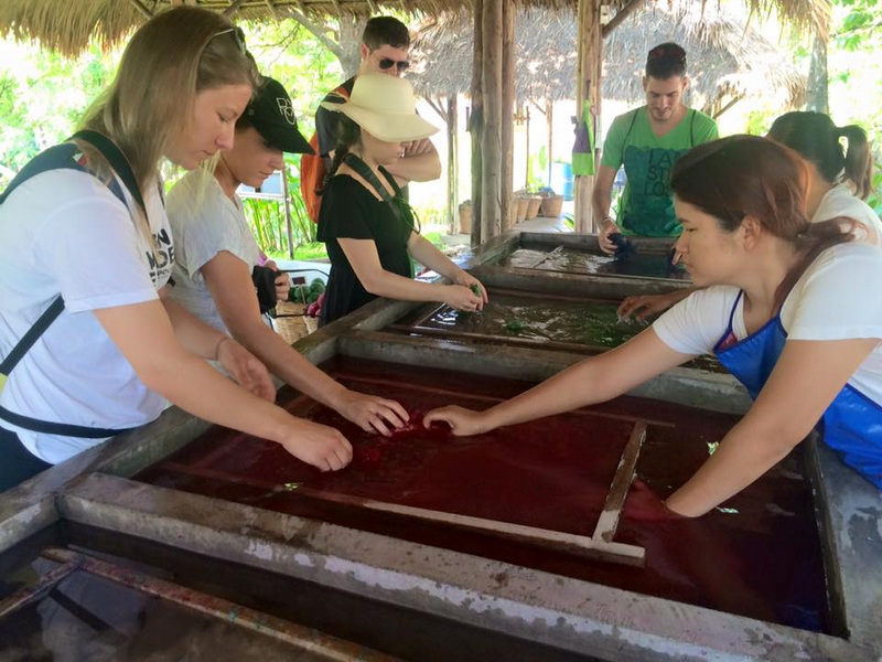 Papermaking Workshop Experience at Elephant Poopoo Paper Park People at a workshop handling red paper pulp in a wooden frame under a thatched roof at Elephant Poopoo Paper Park.