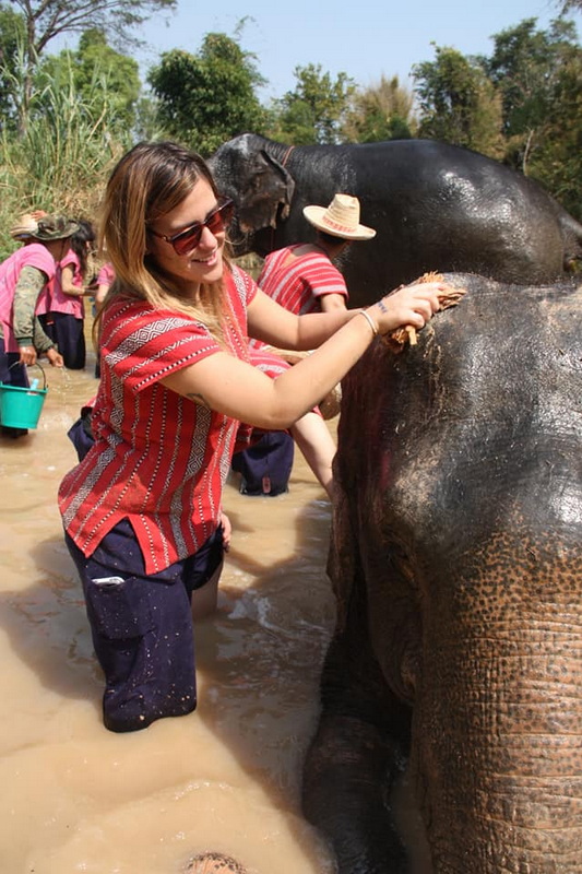 Woman Feeding Elephant at Mae Rim Elephant Home Woman feeding an elephant in a muddy outdoor setting with greenery at Mae Rim Elephant Home.