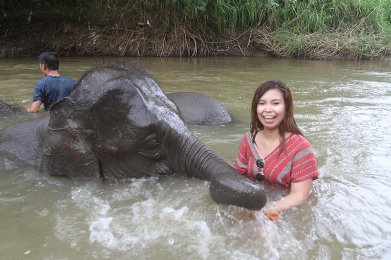 Woman with Baby Elephant in Water at Mae Rim Elephant Home Woman happily holding a baby elephant in a river surrounded by nature at Mae Rim Elephant Home.