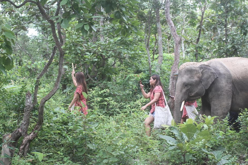 Two women walk through dense jungle with an elephant nearby, taking photos at Mae Rim Elephant Home.