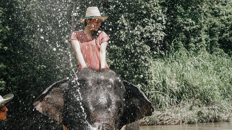 Person riding an elephant spraying water near a river in lush greenery at Mae Rim Elephant Home.