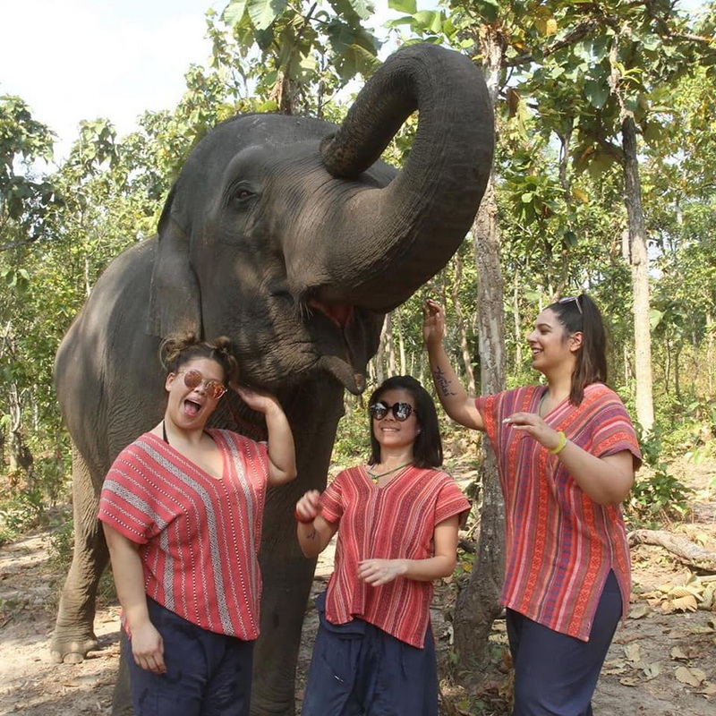 Women Enjoying with Elephant at Mae Rim Elephant Home Three women in striped shirts smiling with an elephant in a forest at Mae Rim Elephant Home.