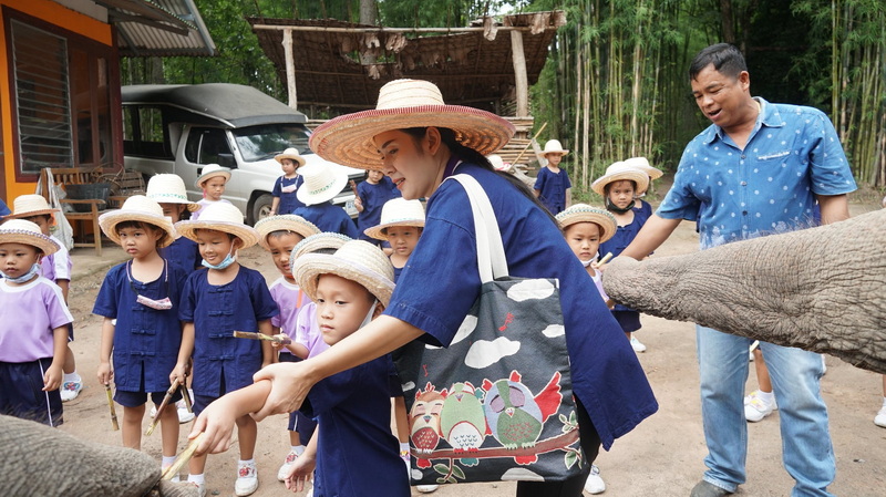 Children Feeding Elephants at Mae Rim Elephant Home Children in blue outfits feeding elephants outdoors with trainers present at Mae Rim Elephant Home.