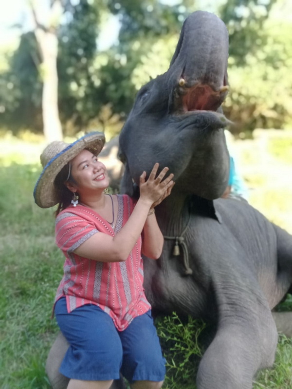 Woman with a hat touching an elephant's face in a lush outdoor setting at Mae Rim Elephant Home.