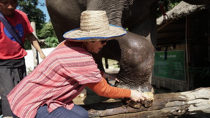 Person Touching Elephant's Foot at Maerim Elephant Home A person in a hat touches an elephant's foot outdoors with onlookers nearby at Maerim Elephant Home.