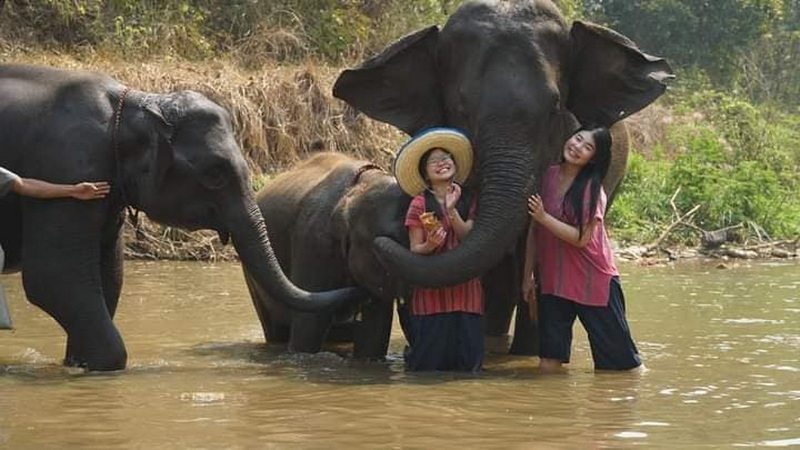 Children standing in water and hugging elephants in a lush river setting at Mae Rim Elephant Home.