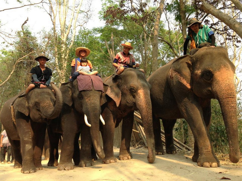 Travel photograph selected for Patara Elephant Farm destination guide, Patara Elephant Farm main article view 3 2
