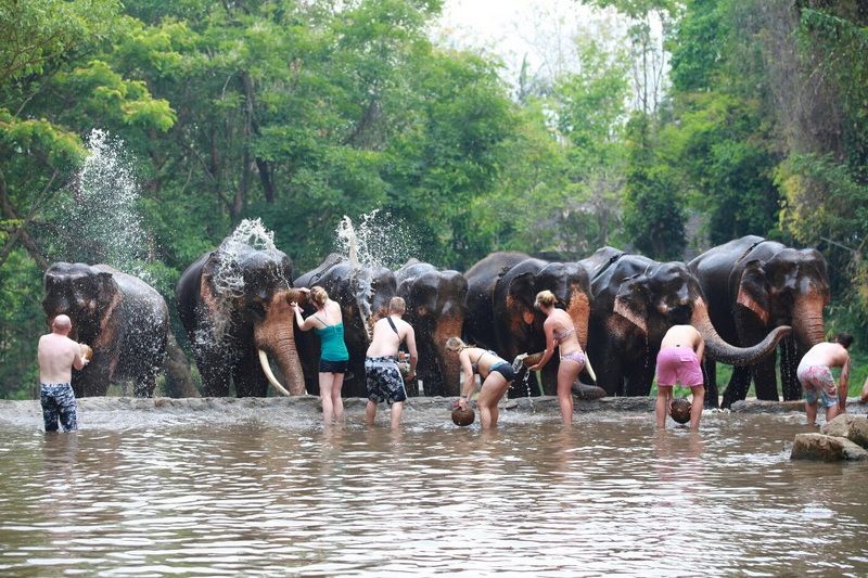 Patara Elephant Farm Travel Photograph Travel photograph selected for Patara Elephant Farm destination guide, Patara Elephant Farm main article view 4 2