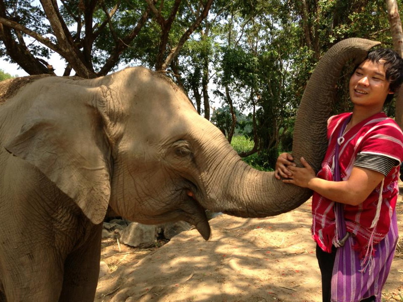 Patara Elephant Farm Travel Photograph Travel photograph selected for Patara Elephant Farm destination guide, Patara Elephant Farm main article view 2 2