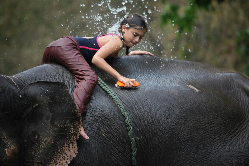Patara Elephant Farm Travel Photograph Travel photograph selected for Patara Elephant Farm destination guide, Patara Elephant Farm main article view 3 2