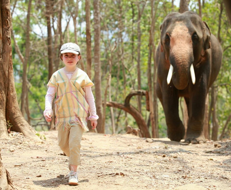Patara Elephant Farm Travel Photograph Travel photograph selected for Patara Elephant Farm destination guide.