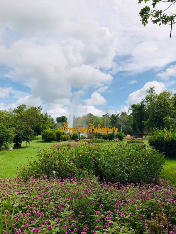 A colorful garden scene with purple flowers and a Thai sign under a cloudy sky at San Kamphaeng Hot Springs.