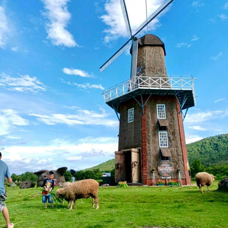 Scenic Windmill and Grazing Sheep at Huay Tung Tao A windmill with children and sheep on the grassy field under a blue sky at Huay Tung Tao.