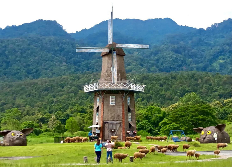 Scenic Windmill with Animals at Huay Tung Tao Windmill with animals and greenery, mountain background in a rural setting at Huay Tung Tao.