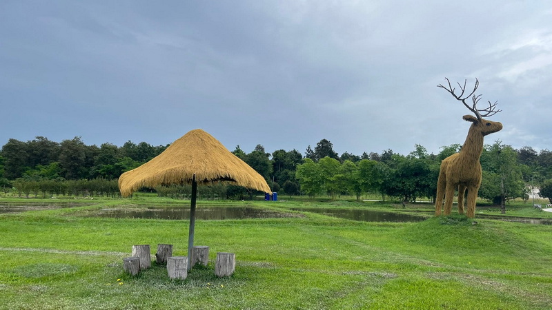 Open grassy field with a thatched umbrella and straw deer sculpture under cloudy sky at Huay Tung Tao Chiang Mai.