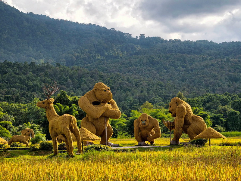 Animal Sculptures in Natural Setting at Huay Tung Tao Lifelike sculptures of apes sitting and standing on a grassy field with mountains behind at Huay Tung Tao.