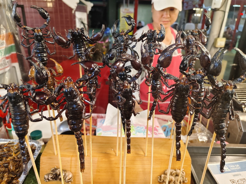 Market Stall with Roasted Insects at Chiang Mai Street Food Night Markets Market stall with skewered roasted insects including scorpions and bugs displayed for sale at Chiang Mai Street Food Night Markets.