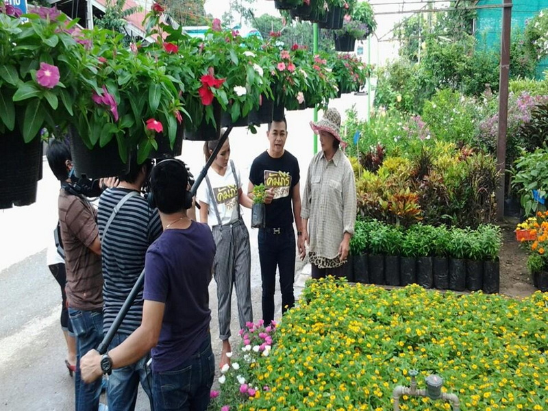 Flower Nursery Visit at Chiang Mai Local Markets Guide People visiting a vibrant flower nursery with hanging pots and potted plants at Chiang Mai Local Markets Guide.
