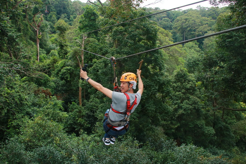 Person zip-lining through a lush, green forest canopy with safety gear at Jungle Flight Zipline Chiang Mai.