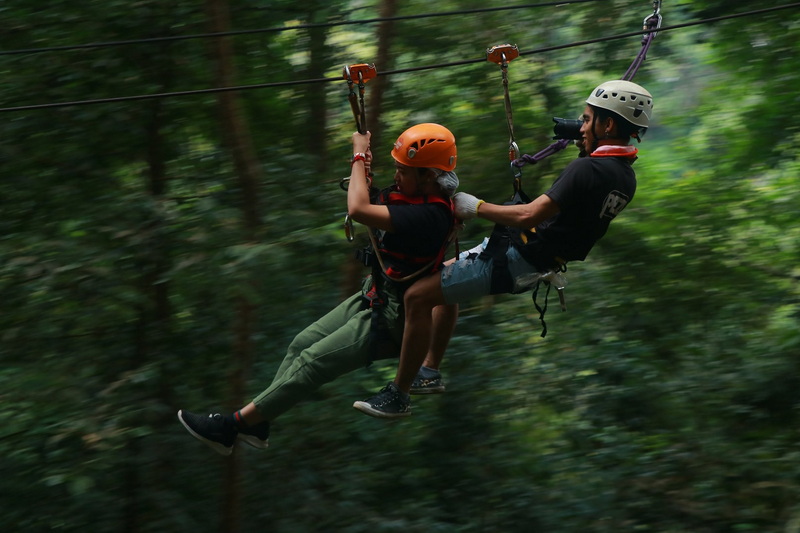 Two people ziplining through dense green forest with safety helmets and harnesses at Jungle Flight Zipline Chiang Mai.