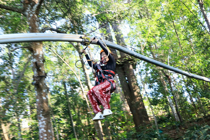 Forest Zip-Lining Adventure at Jungle Flight Chiang Mai Woman zip-lining through lush green forest canopy with sunlight filtering through trees at Jungle Flight Chiang Mai.