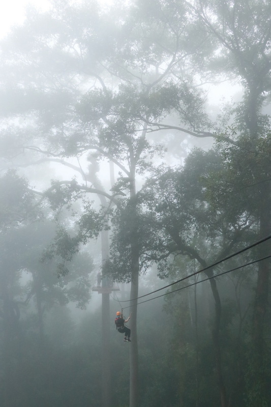 Misty Forest Zip Line Adventure at Jungle Flight Zipline Chiang Mai Person zip lining through foggy forest with tall trees and thick mist at Jungle Flight Zipline Chiang Mai.