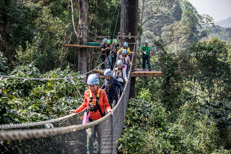 People crossing a wooden suspension bridge surrounded by tall trees in the forest at Kingkong Smile Zipline.