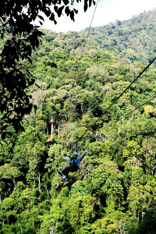 Zipline Adventure in Green Forest at Kingkong Smile Zipline Person on a zipline swinging over lush green forested hills at Kingkong Smile Zipline.